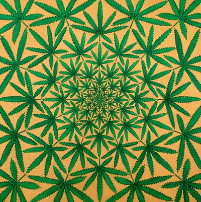 Happy Daze (keten üzerine akrilik) by Larry Smart